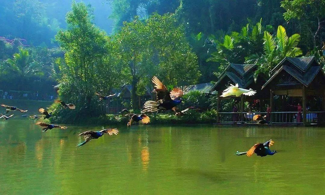 做糖醋排骨有什么小窍门吗？游戏画面